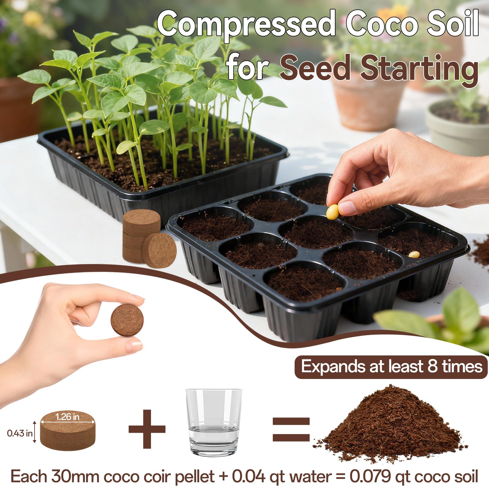 Halatool coco coir pellets expand into fluffy soil for indoor plant growth.