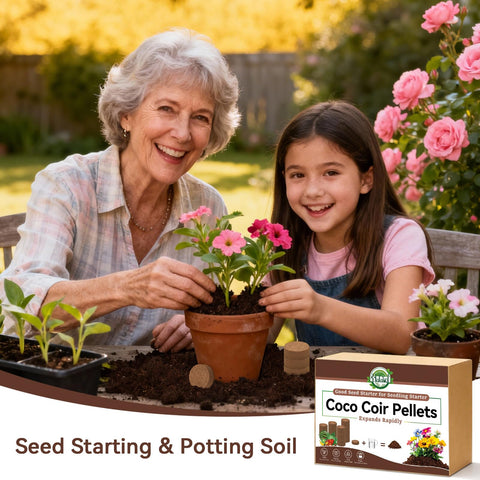 Halatool coir pellets demonstrating aeration and moisture management in pot