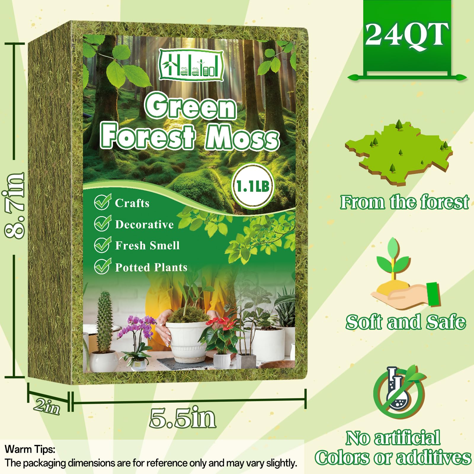 Halatool forest moss potting setup with lush hydration-ready substrate for orchids.