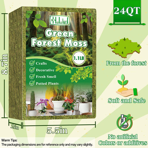 Halatool forest moss potting setup with lush hydration-ready substrate for orchids.