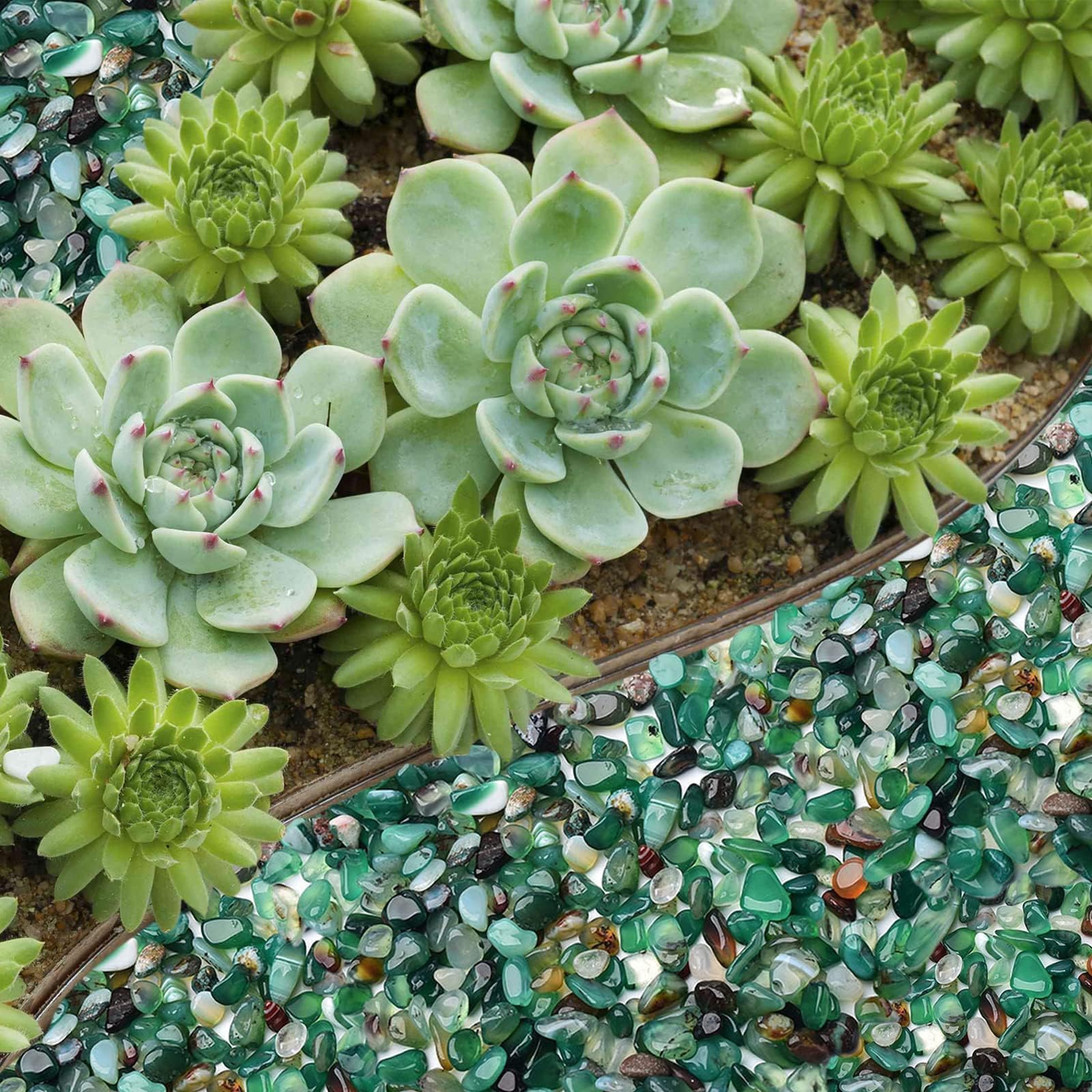 Halatool green agate stones for DIY decor in glass bottles and displays