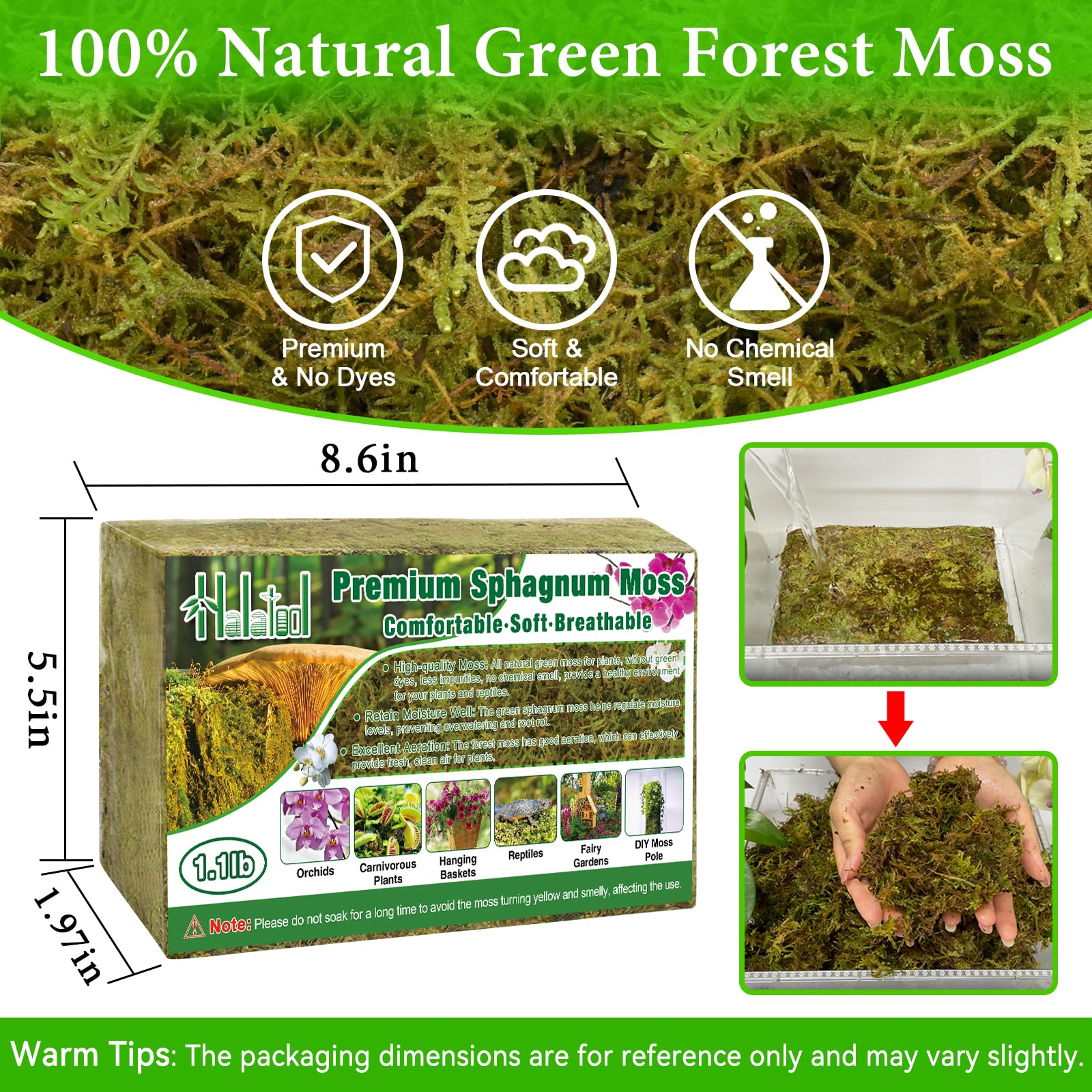 Halatool Green Forest Moss expands after soak with fluffy texture for roots