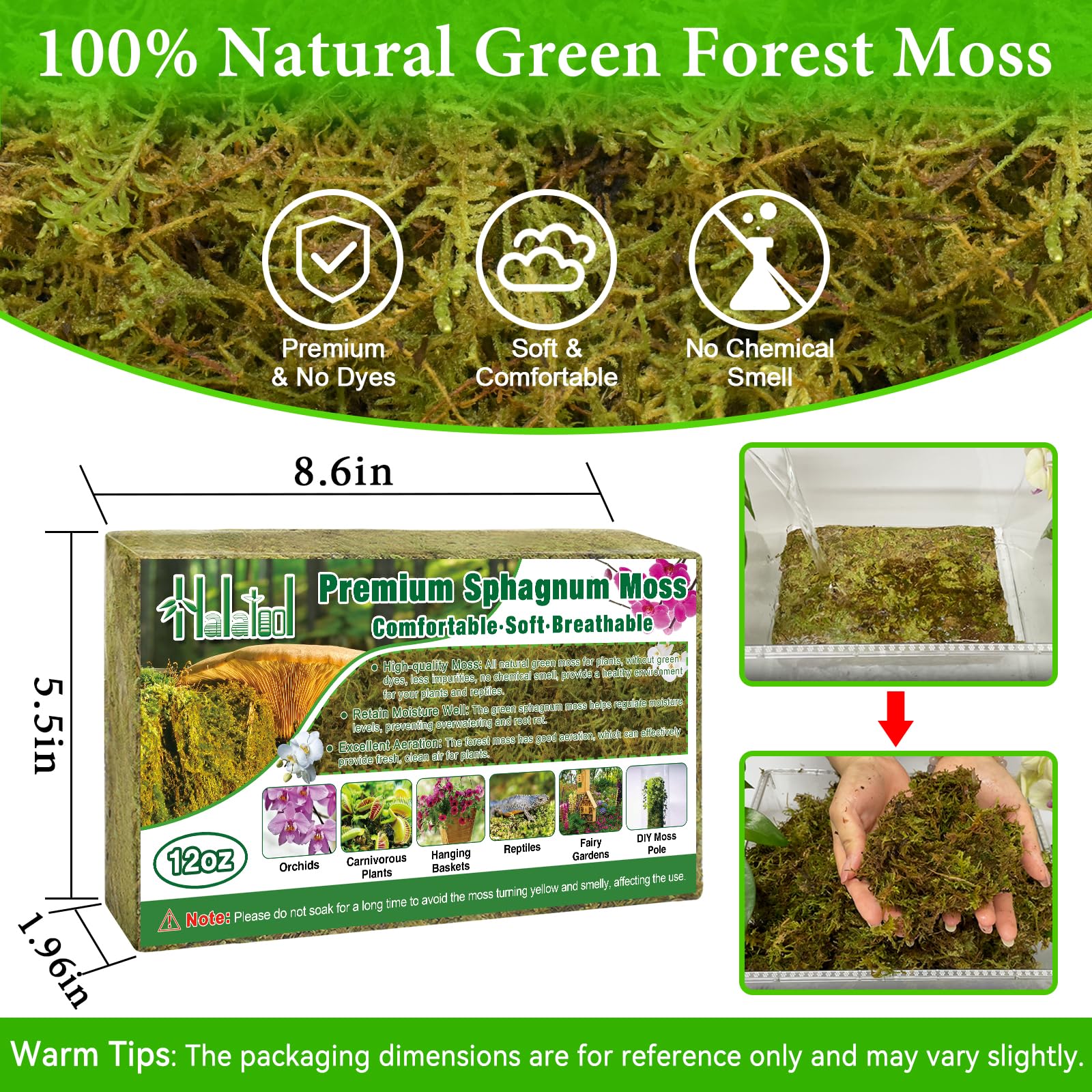 Halatool green forest moss texture adds natural charm to pots