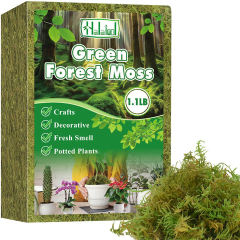 Halatool Green Moss bag closeup showing natural forest texture for soil cover.