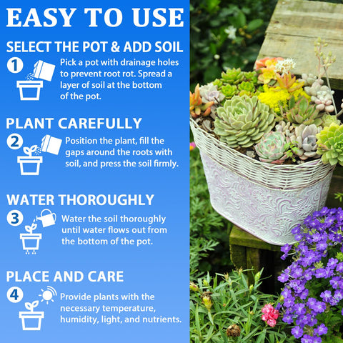 Halatool houseplants potting mix supports lush indoor foliage.