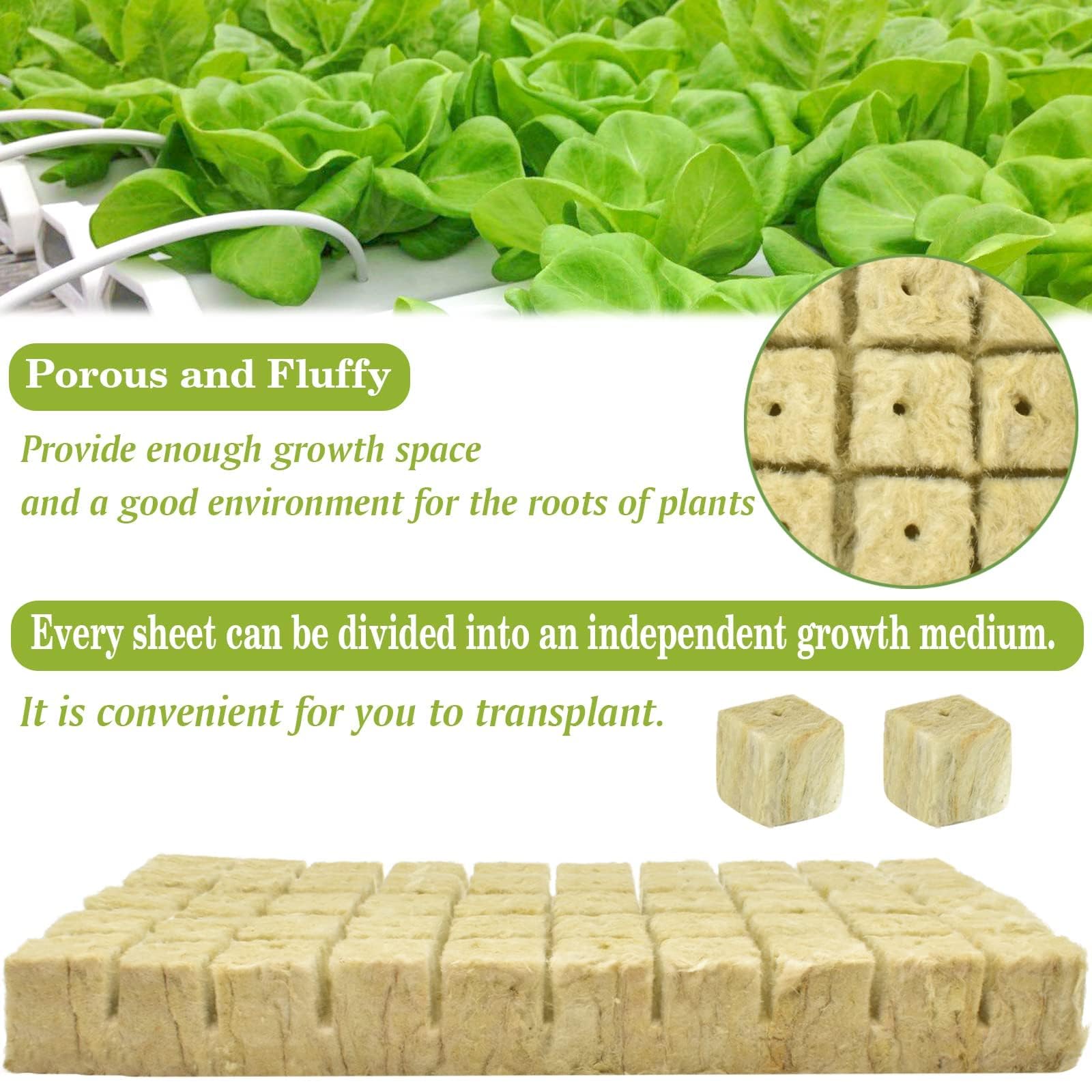 Halatool hydroponic cubes showing moisture absorption for roots