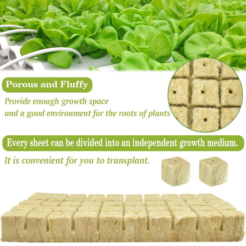 Halatool hydroponic cubes showing moisture absorption for roots