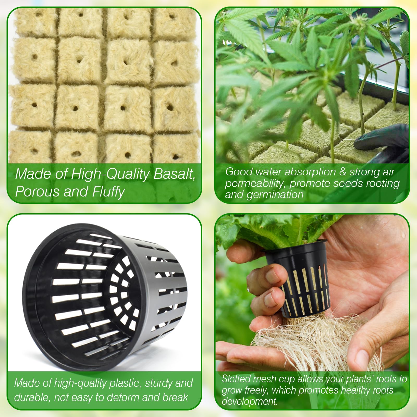 Halatool indoor grow setup for year-round propagation