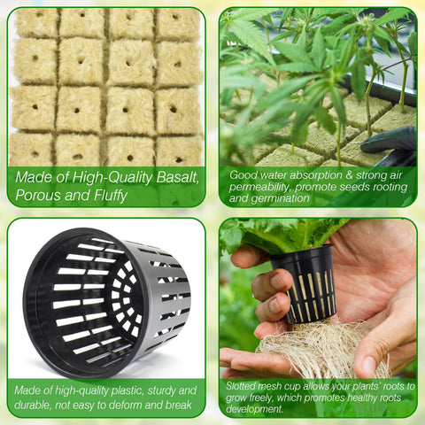 Halatool indoor grow setup for year-round propagation