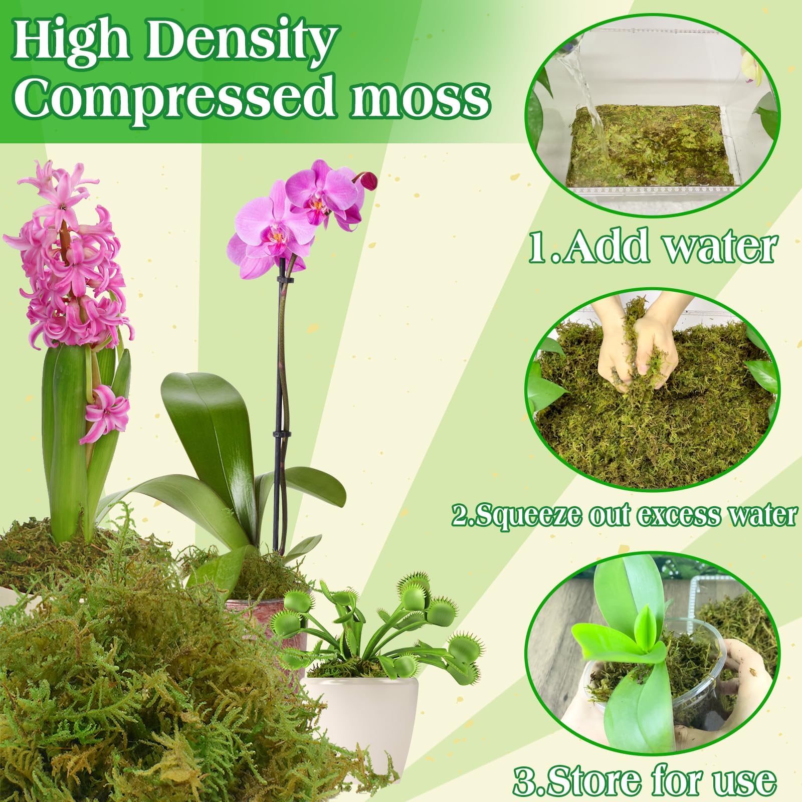 Halatool indoor plants moss cover provides decorative moisture control.