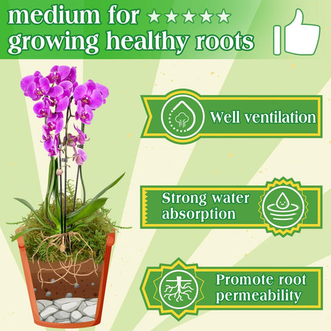 Halatool orchid moss application expands to 25QT for spacious terrariums.