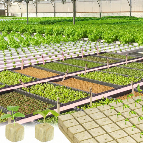 Halatool rockwool cubes in two sheets provide a practical grow starter kit