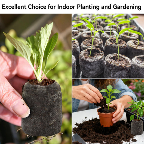 Halatool peat pellets seed-starting-setup ideal for quick transplanting to pots.