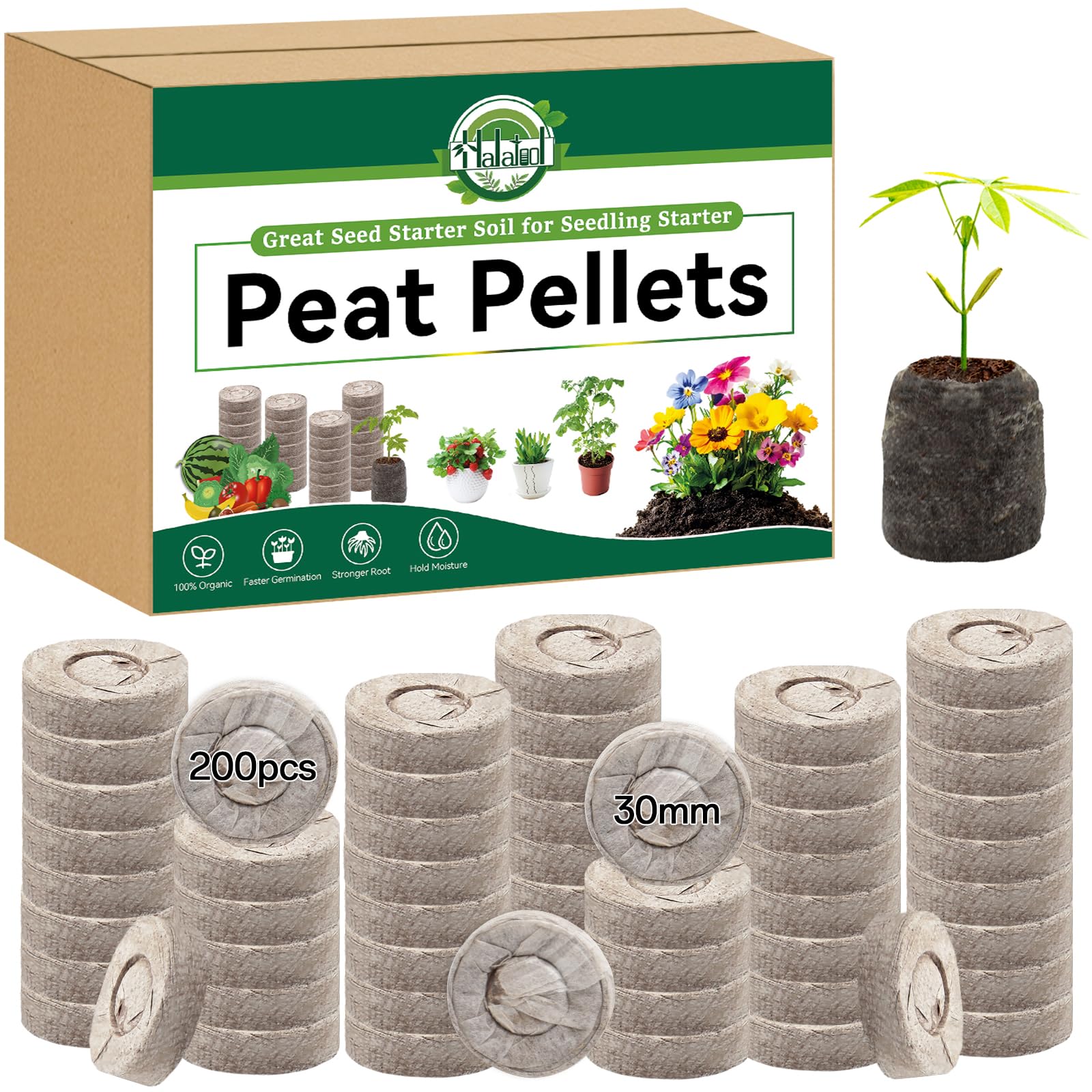 Halatool peat pellets seedling-compact ready to swell for germination.
