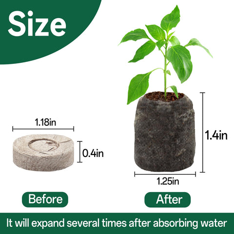Halatool peat pellets water-activated expand when soaked for even germination.