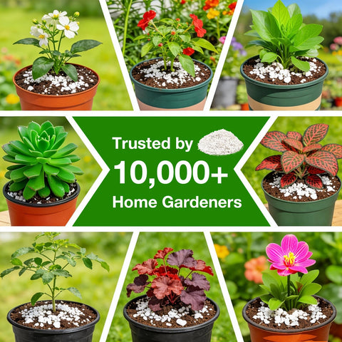 Indoor garden setup using Halatool Perlite for healthier growth.
