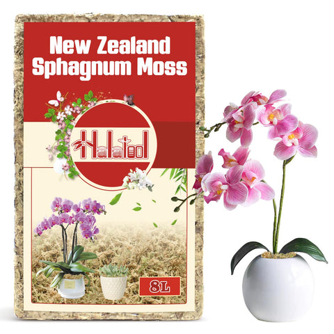 Halatool premium New Zealand sphagnum moss 100g ready for roots