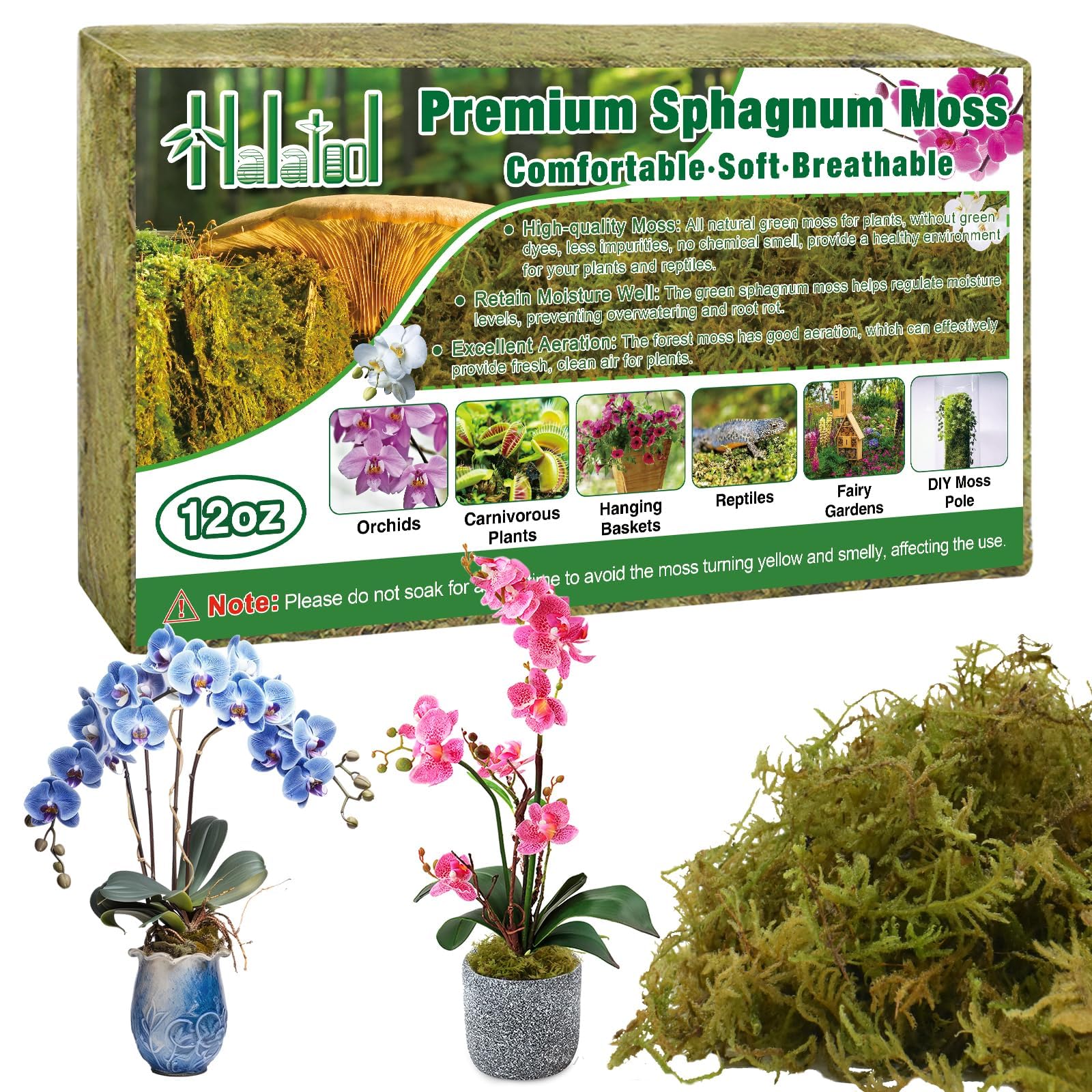Halatool premium sphagnum moss bricks expand after soaking for easy setup