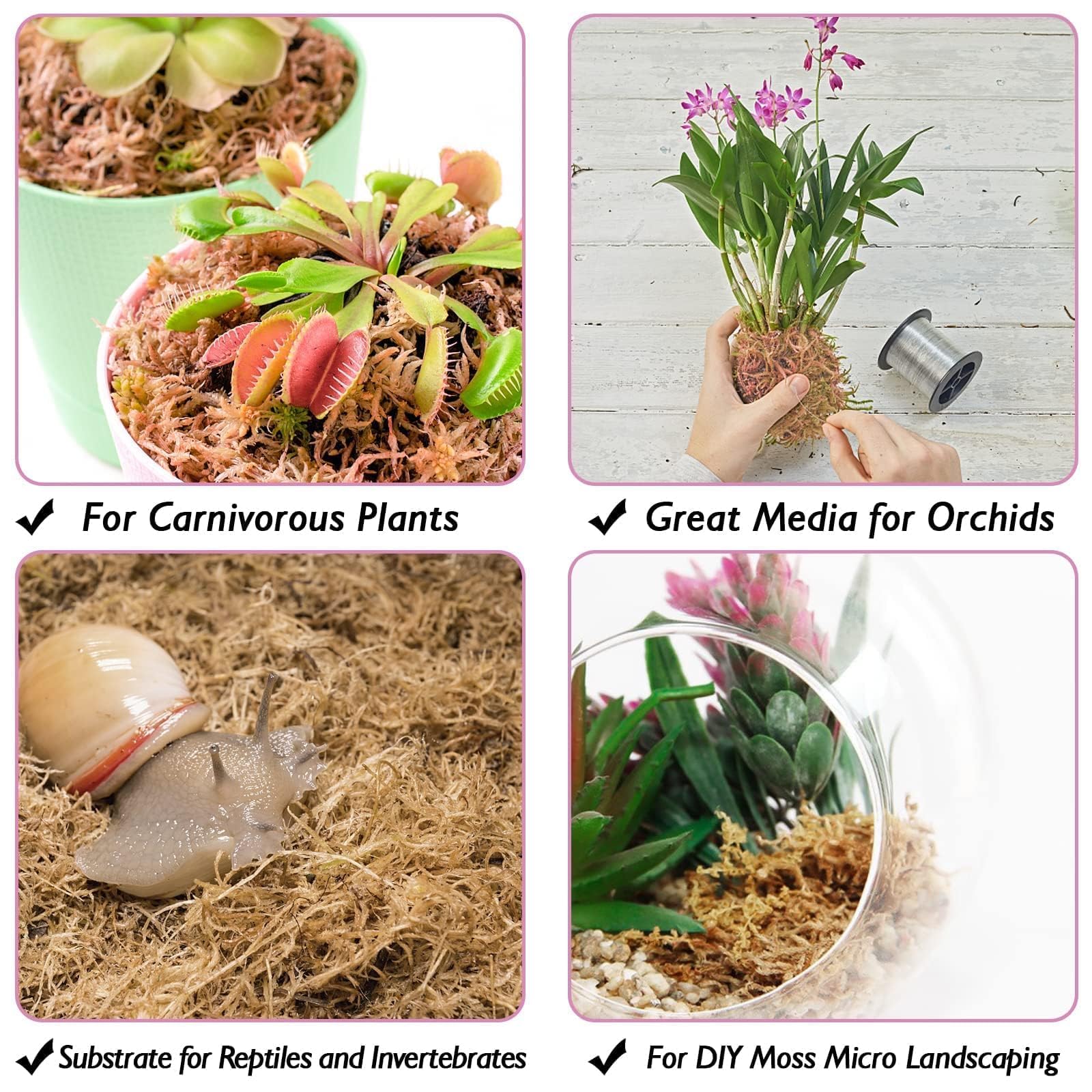 Halatool reptile moss substrate supports shedding and comfortable enclosures