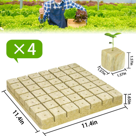 Halatool 196 rockwool plugs arranged for efficient hydroponic propagation.