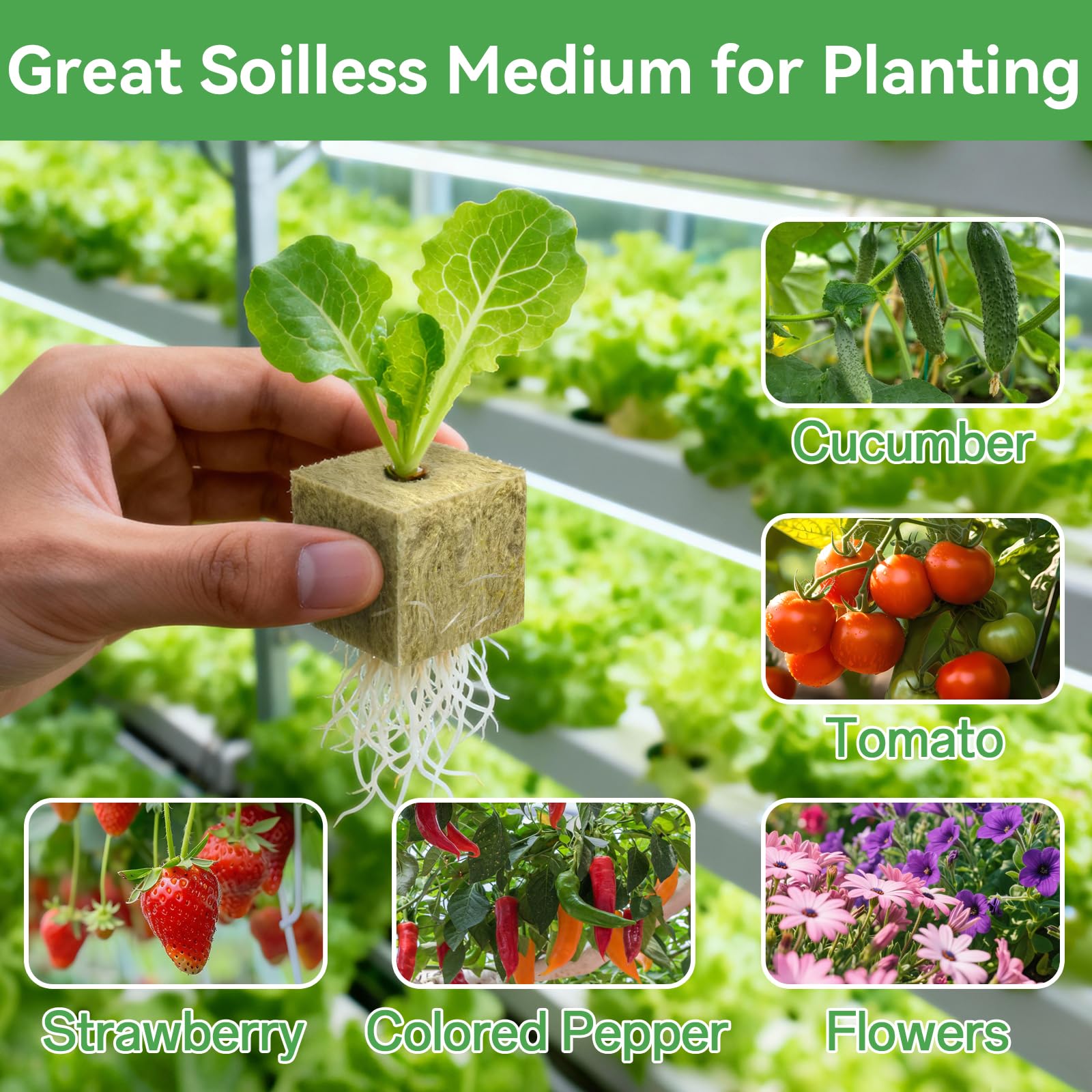 Halatool rockwool cubes used for diverse crops like lettuce and cucumbers.