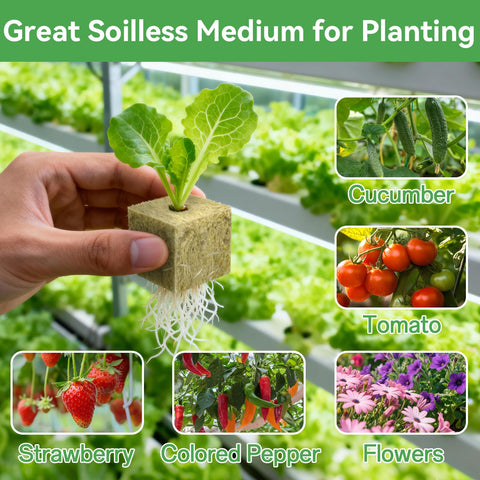 Halatool rockwool cubes used for diverse crops like lettuce and cucumbers.
