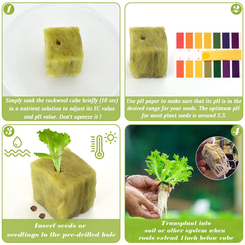 Halatool rockwool plugs simplify transplanting into net pots or soil