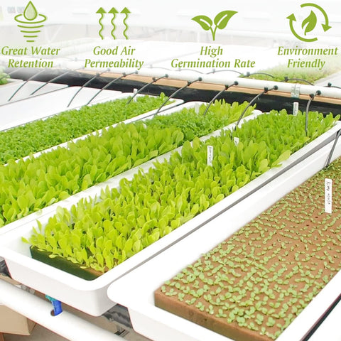 Halatool rockwool cubes promote robust root development with good oxygen access