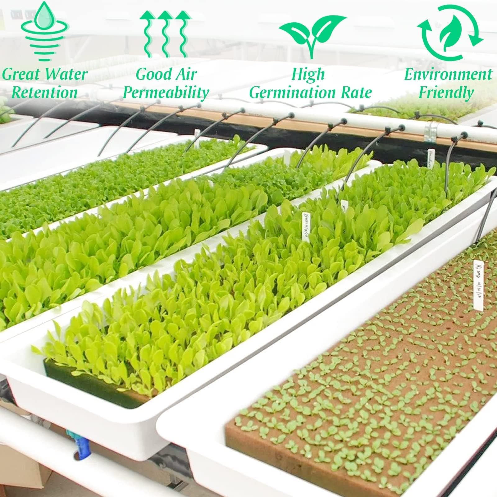 Halatool rockwool plugs keep seeds hydrated and promote robust root development