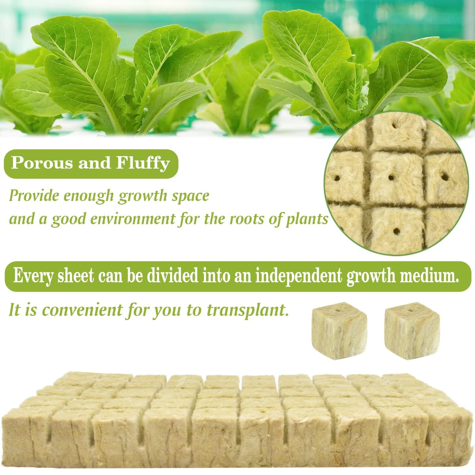 Halatool seed-start rockwool cube supports healthy seedling emergence