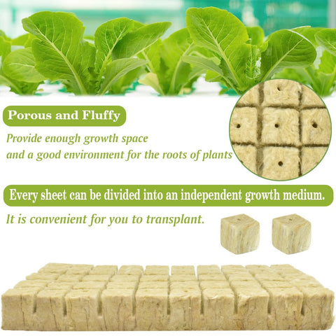 Halatool seed-start rockwool cube supports healthy seedling emergence