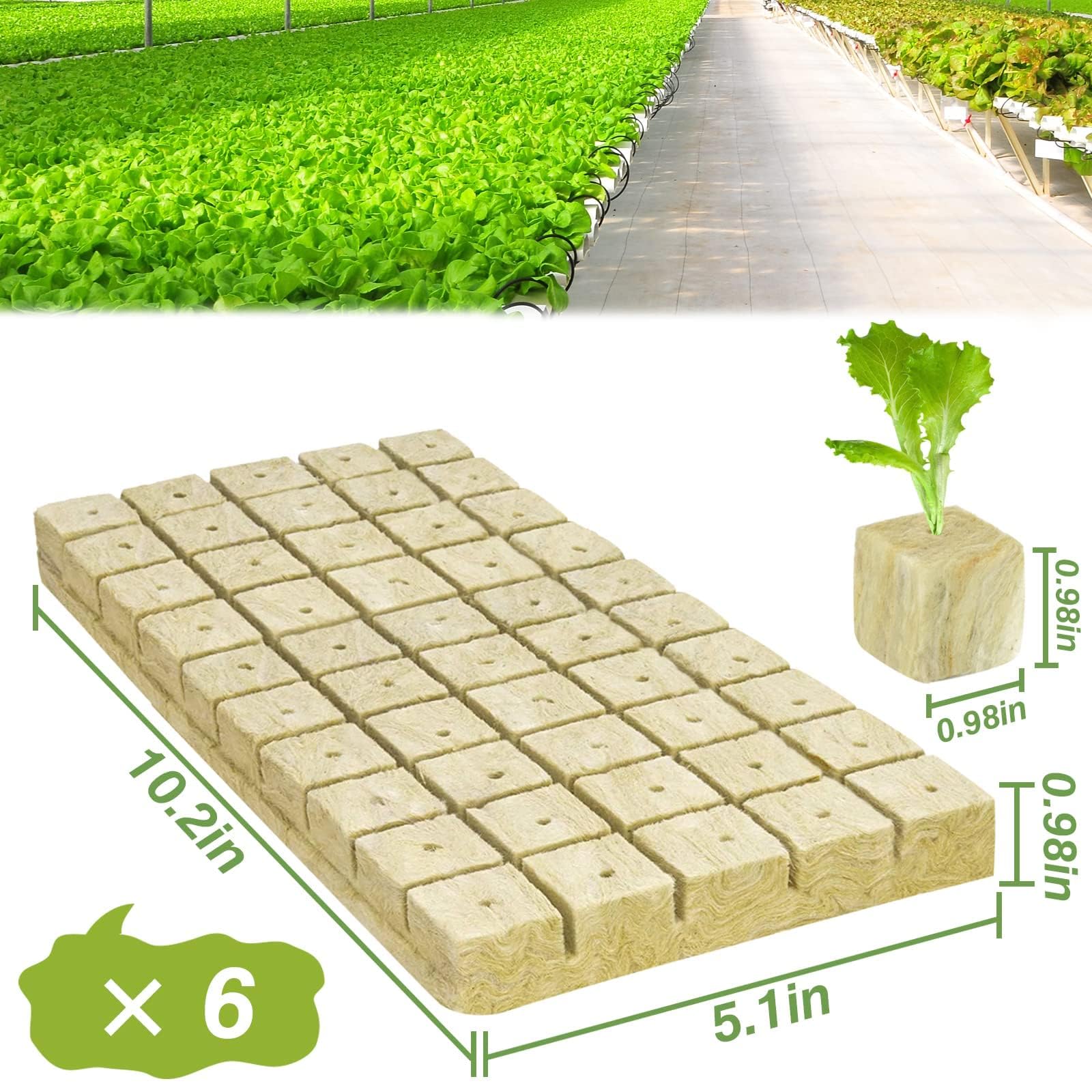Halatool rockwool starter plugs on sheets for easy hydroponic rooting