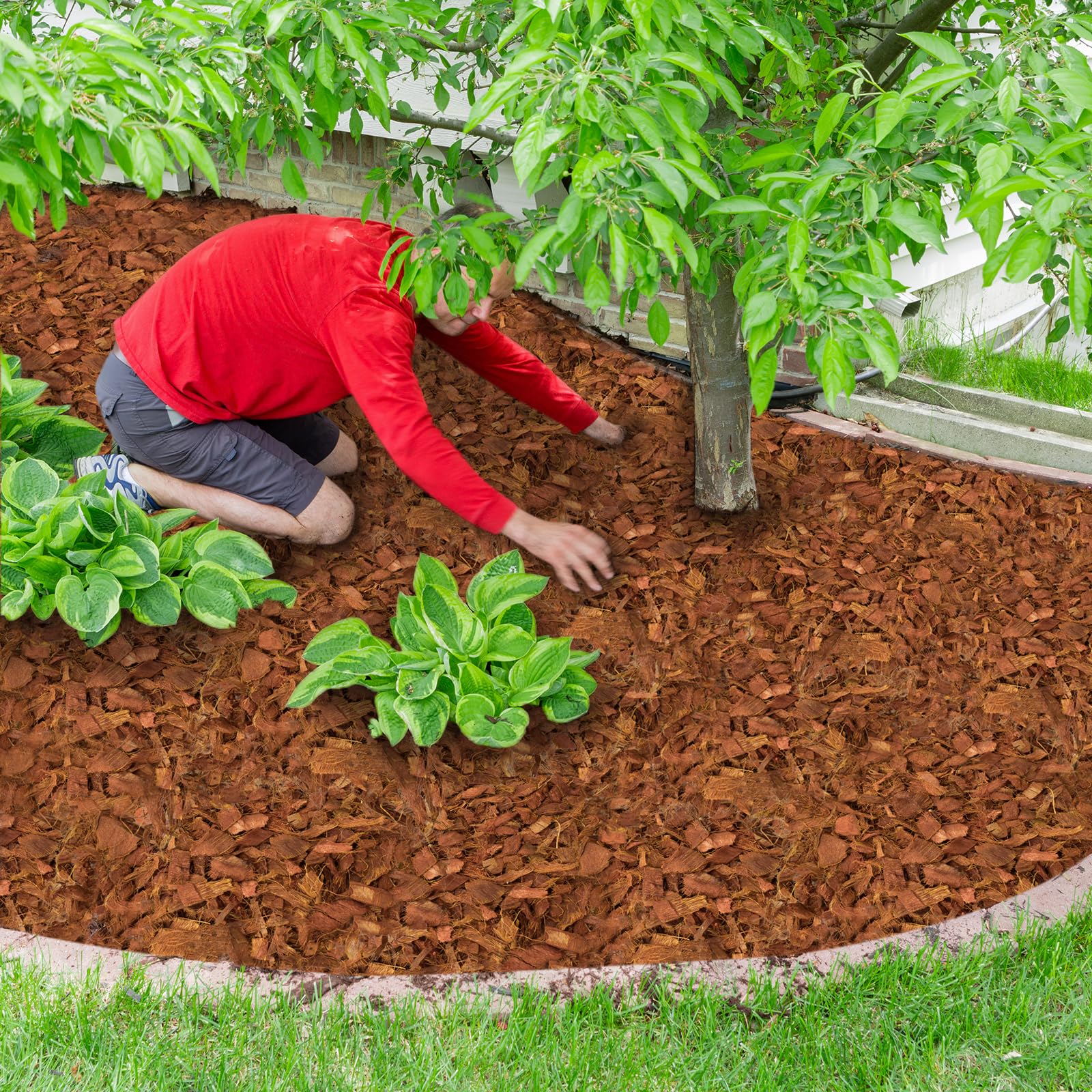 Halatool coco coir substrate promoting healthy root airflow and drainage.
