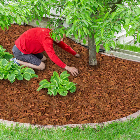 Halatool coco coir substrate promoting healthy root airflow and drainage.