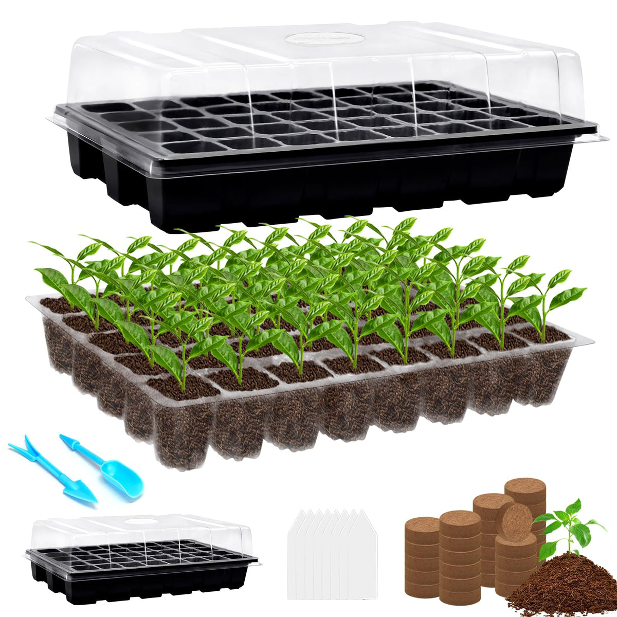 Halatool seed starter tray 2-pack with clear walls for easy monitoring.