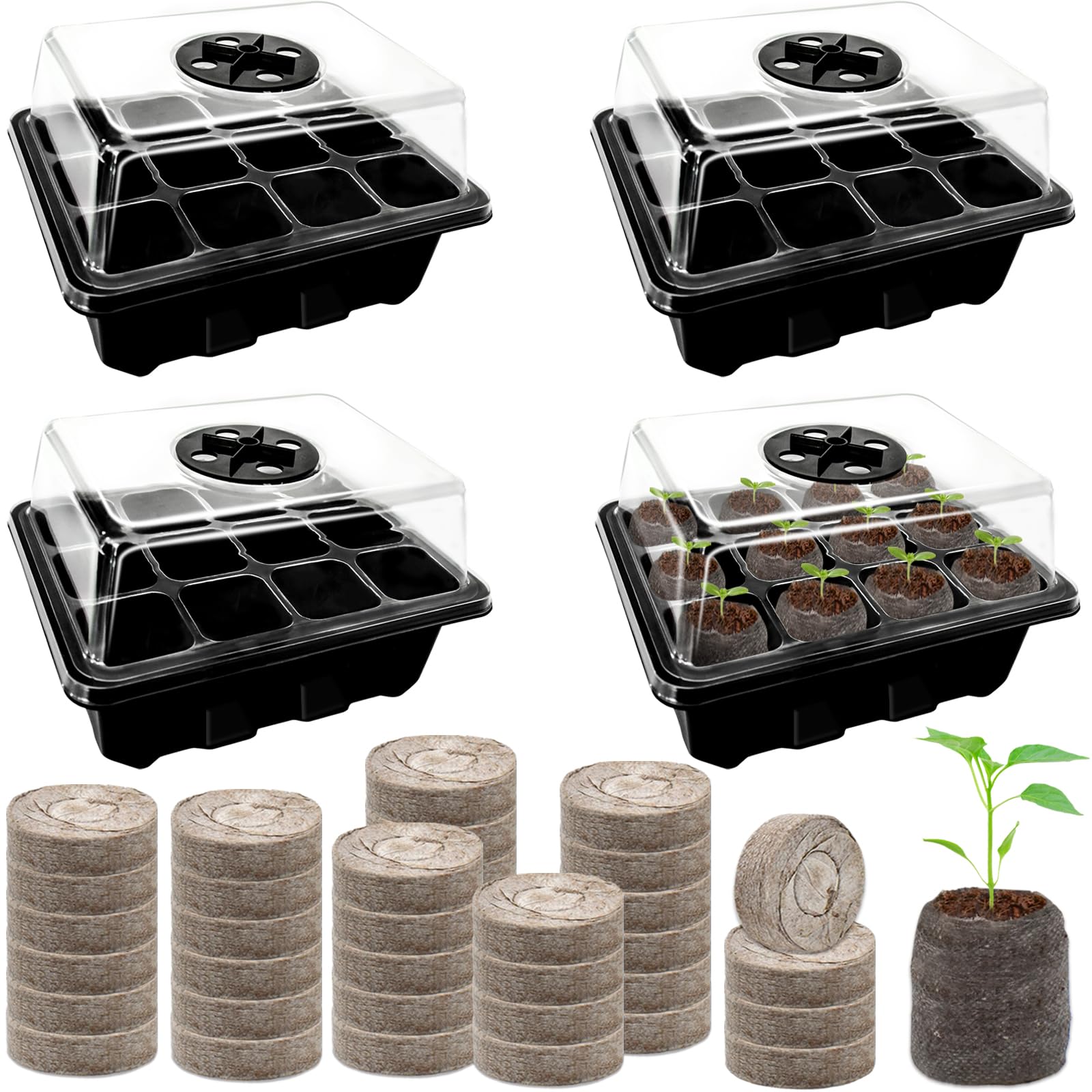 Halatool seed starter tray 4-pack for organized germination on a clean work surface