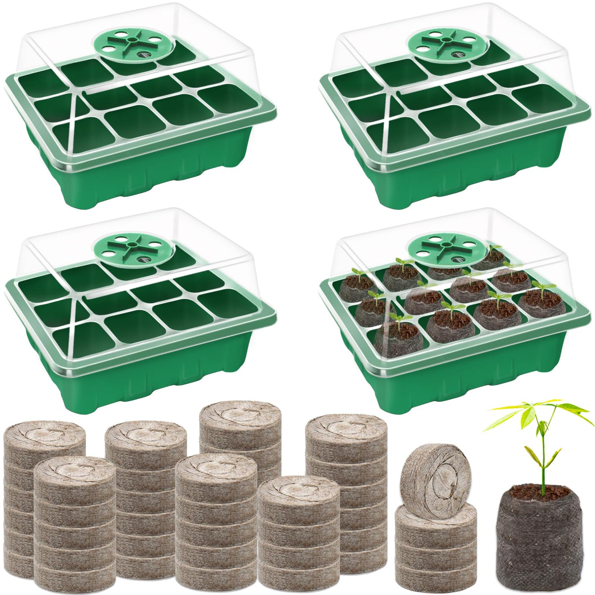 Halatool seed starter tray 4-pack in sturdy plastic for organized sowing