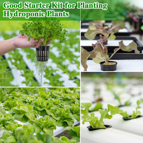 Halatool small patio garden kit for compact hydroponics