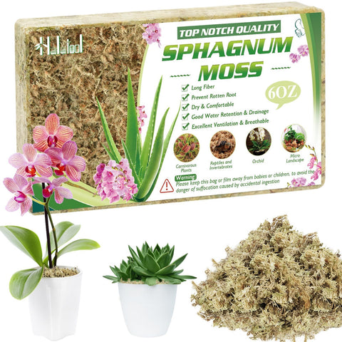 Halatool sphagnum moss 8 qt package showing moisture retention for orchids.