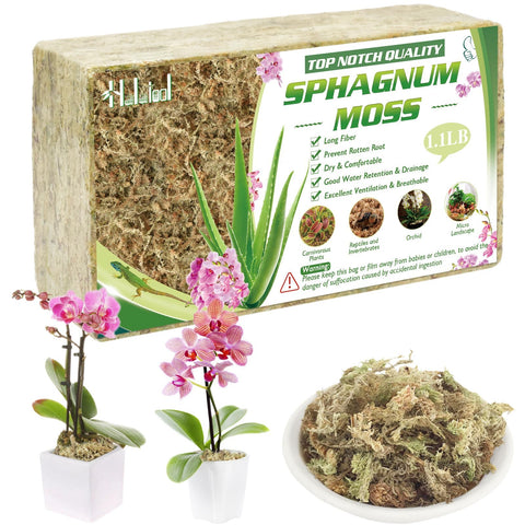 Halatool sphagnum moss brick 1.1 lbs ready to soak for orchid care