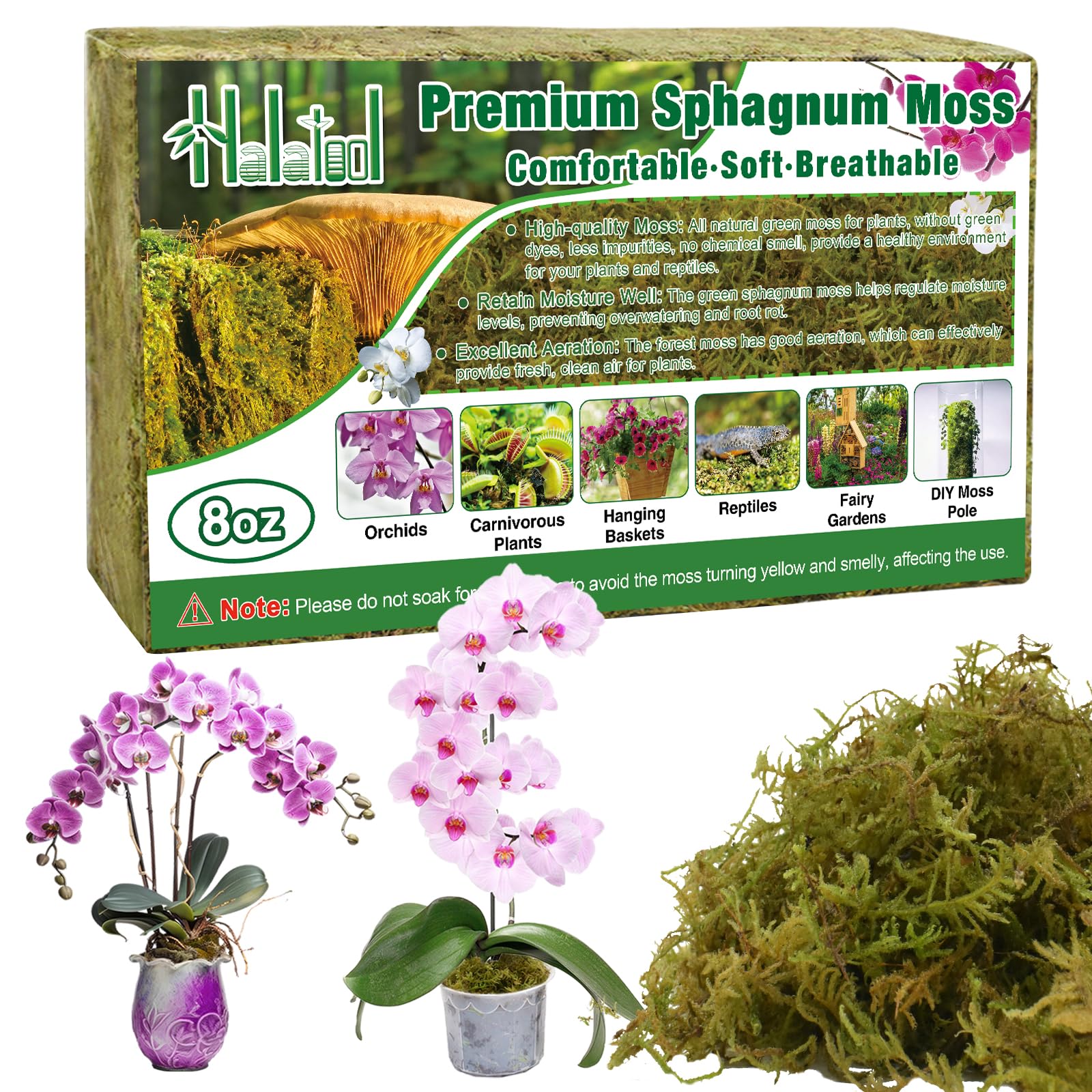 Halatool sphagnum moss brick dry for easy soaking, ideal for orchid repotting.