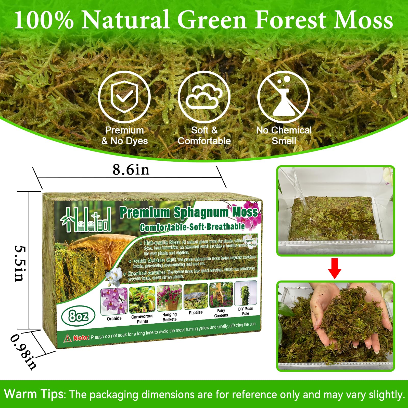 Halatool sphagnum moss brick soaked and expanding for moisture retention.