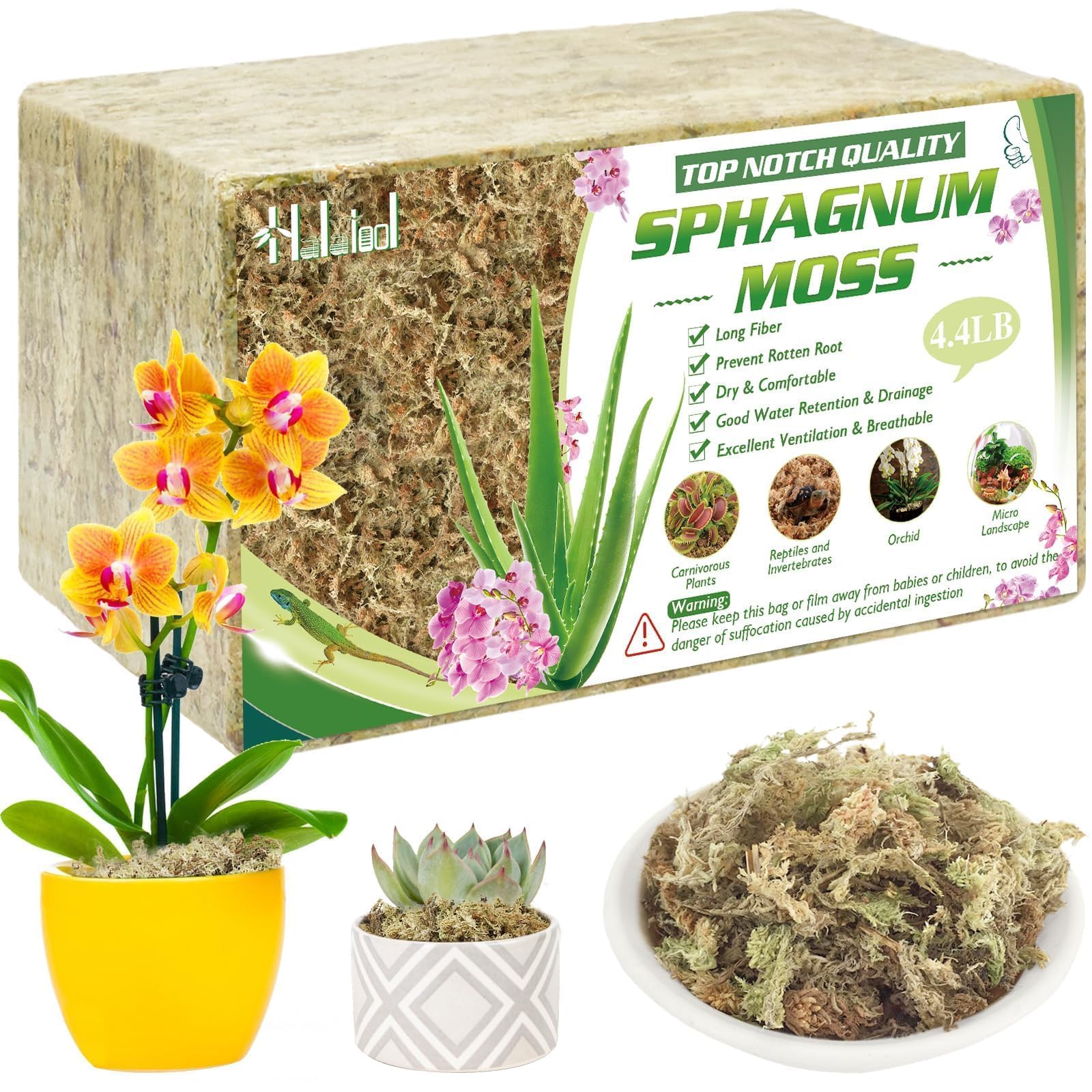 Halatool sphagnum moss brick ready to soak for moisture retention.