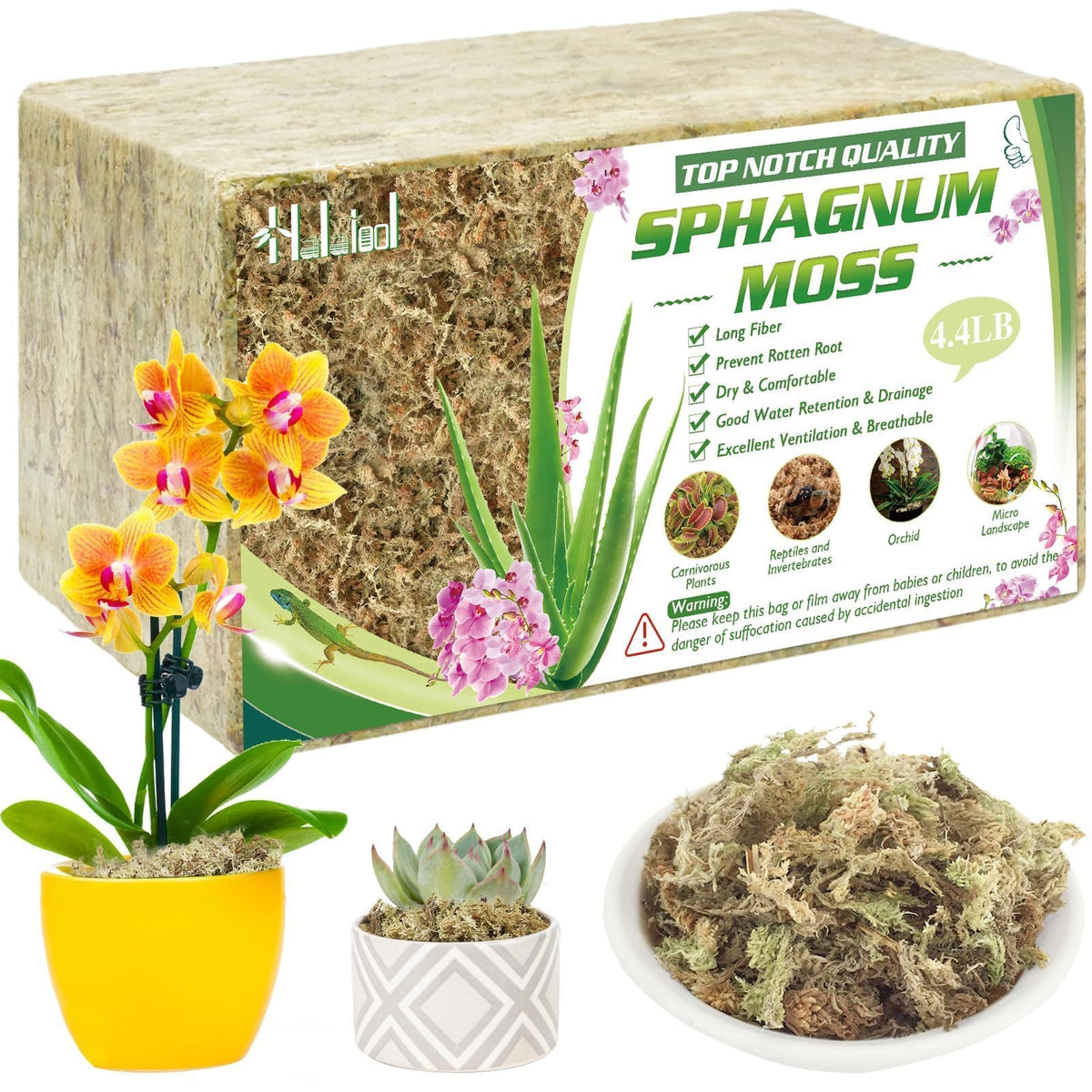 Halatool sphagnum moss brick ready to soak for moisture retention.
