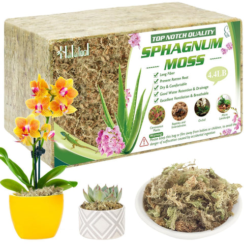 Halatool sphagnum moss brick ready to soak for moisture retention.
