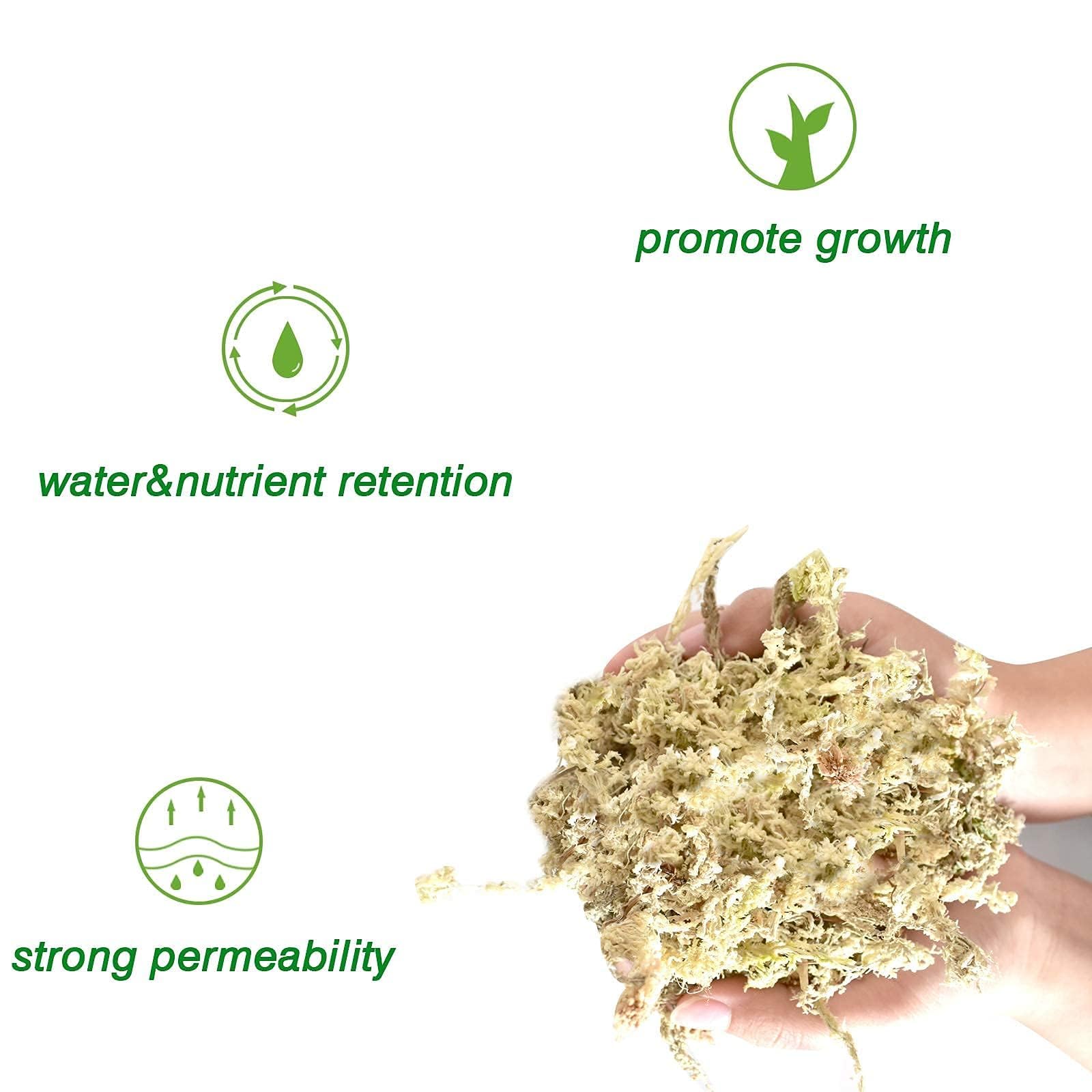 Halatool dried long-fiber moss laid on a garden bed boosting soil porosity.