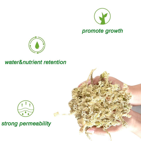 Halatool dried long-fiber moss laid on a garden bed boosting soil porosity.