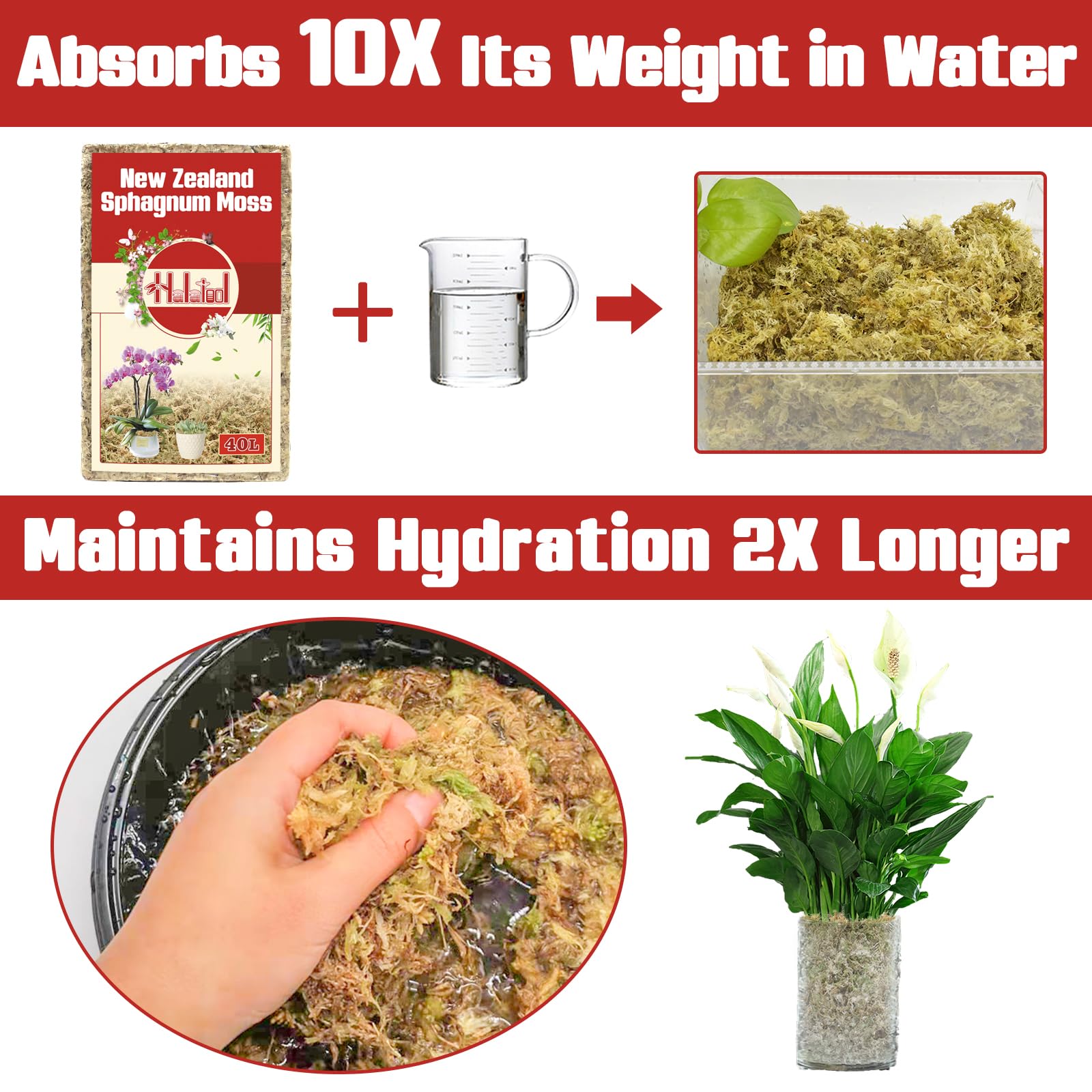 Halatool moss provides natural moisture retention for plants