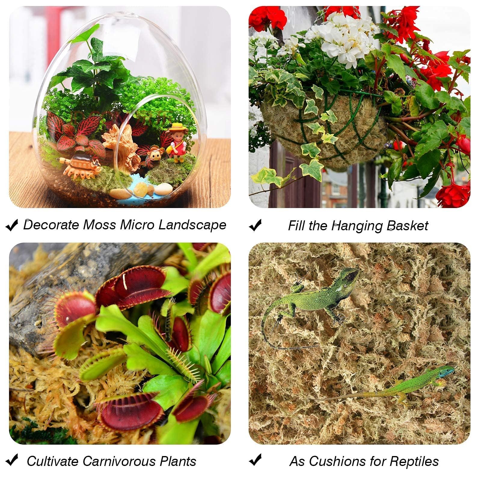 Halatool sphagnum moss used as a humidity-rich substrate for reptiles.