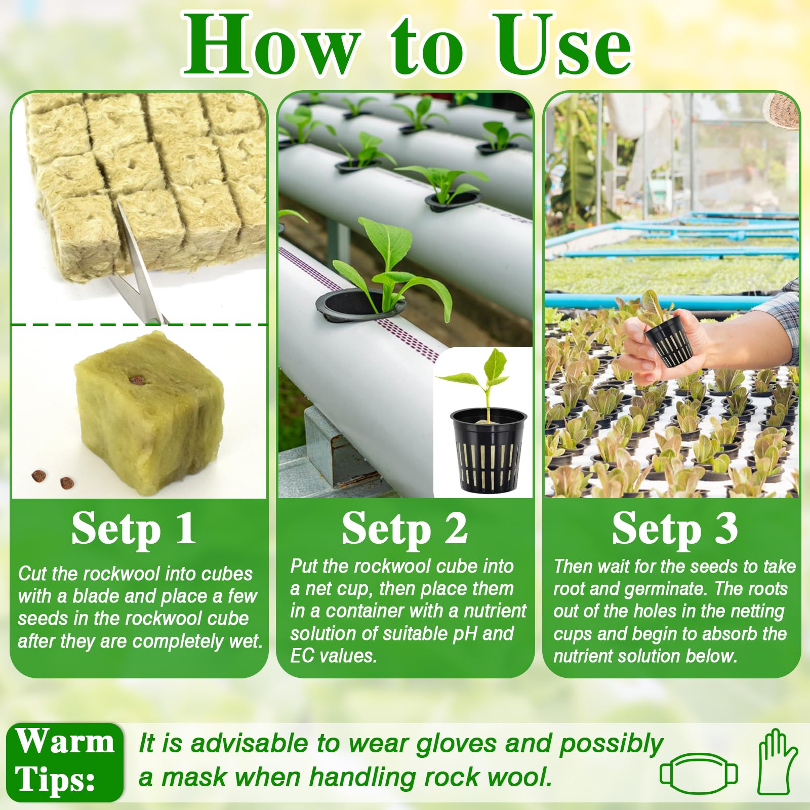 Halatool hydroponics starter kit ideal for beginners